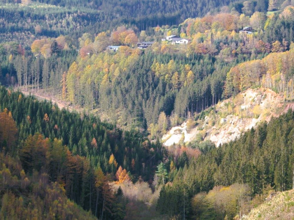 Bossen van de Ardennen