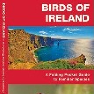 Afbeelding voor TIP - Vogelgids Ierland