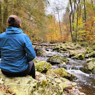 Afbeelding voor Ardennen