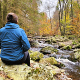 Afbeelding voor Ardennen