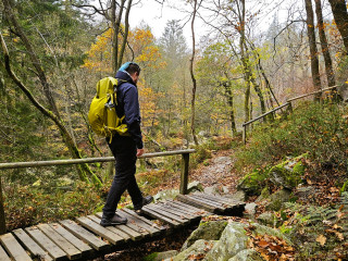 Afbeelding voor Actief in de Ardennen