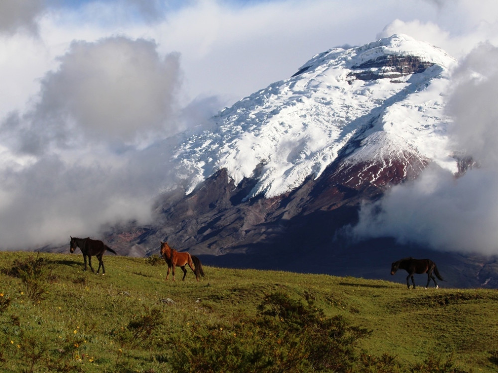 Ecuador