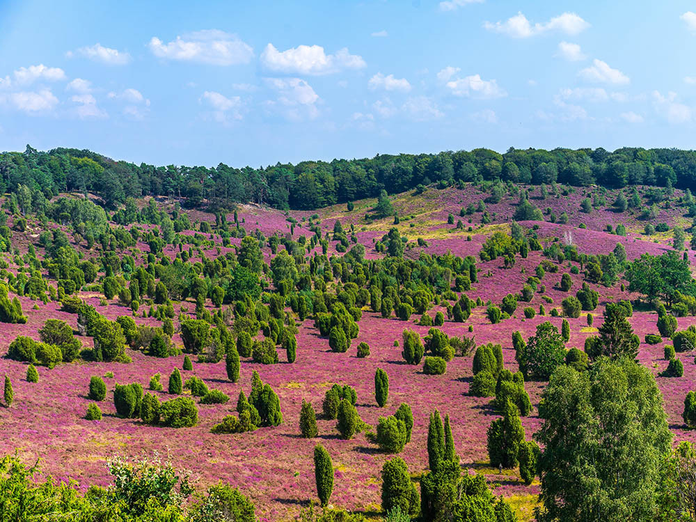 Natuur in Noord-Duitsland