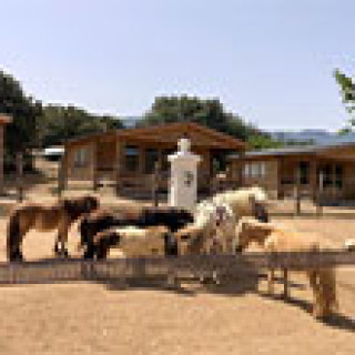 Afbeelding voor Booking.com - Tussen de paarden op Corsica