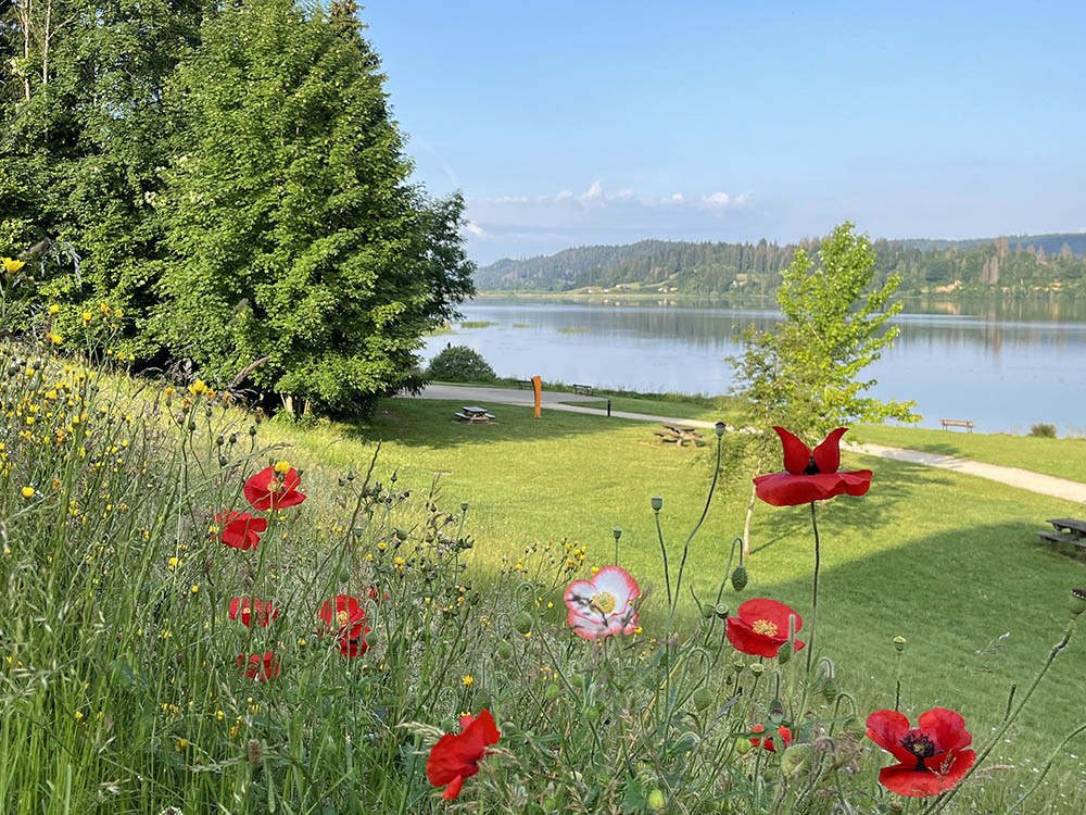 Wandelen langs Lac de Saint-Point