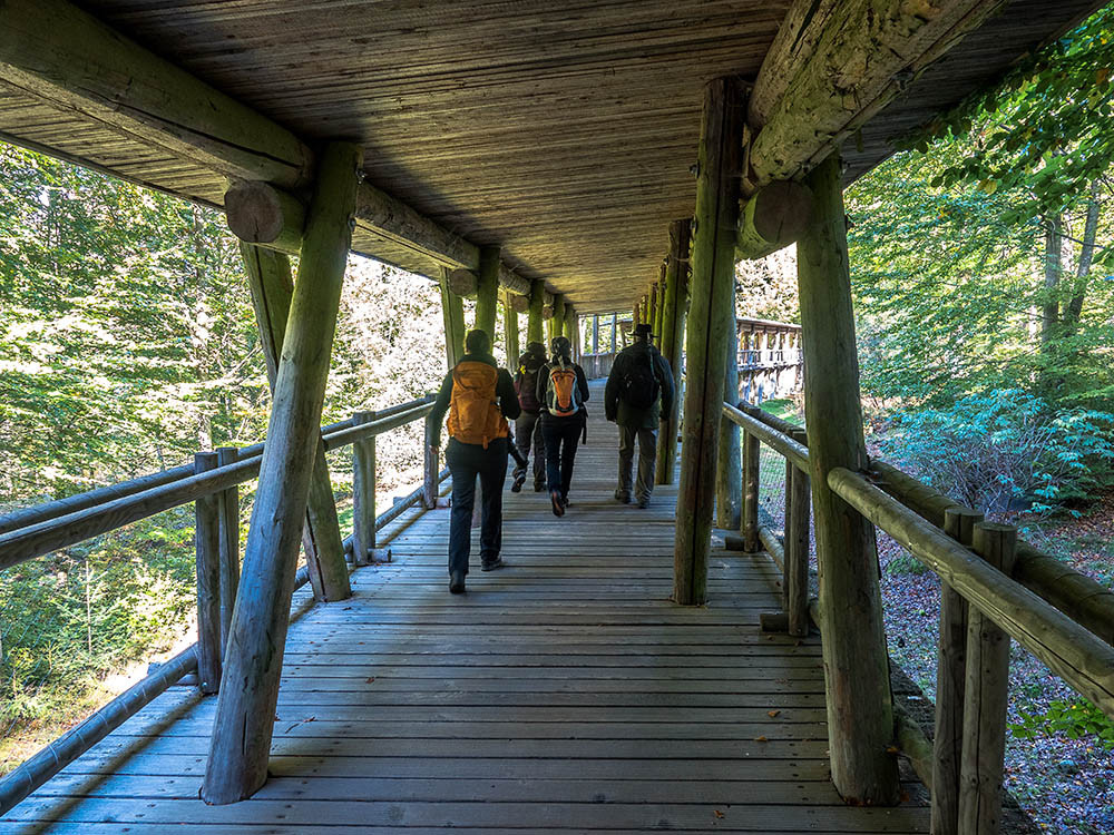 Struinen door het wildpark