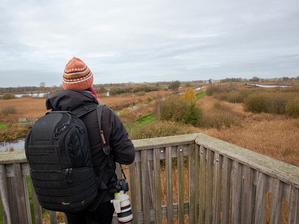 Winter in Alde Feanen