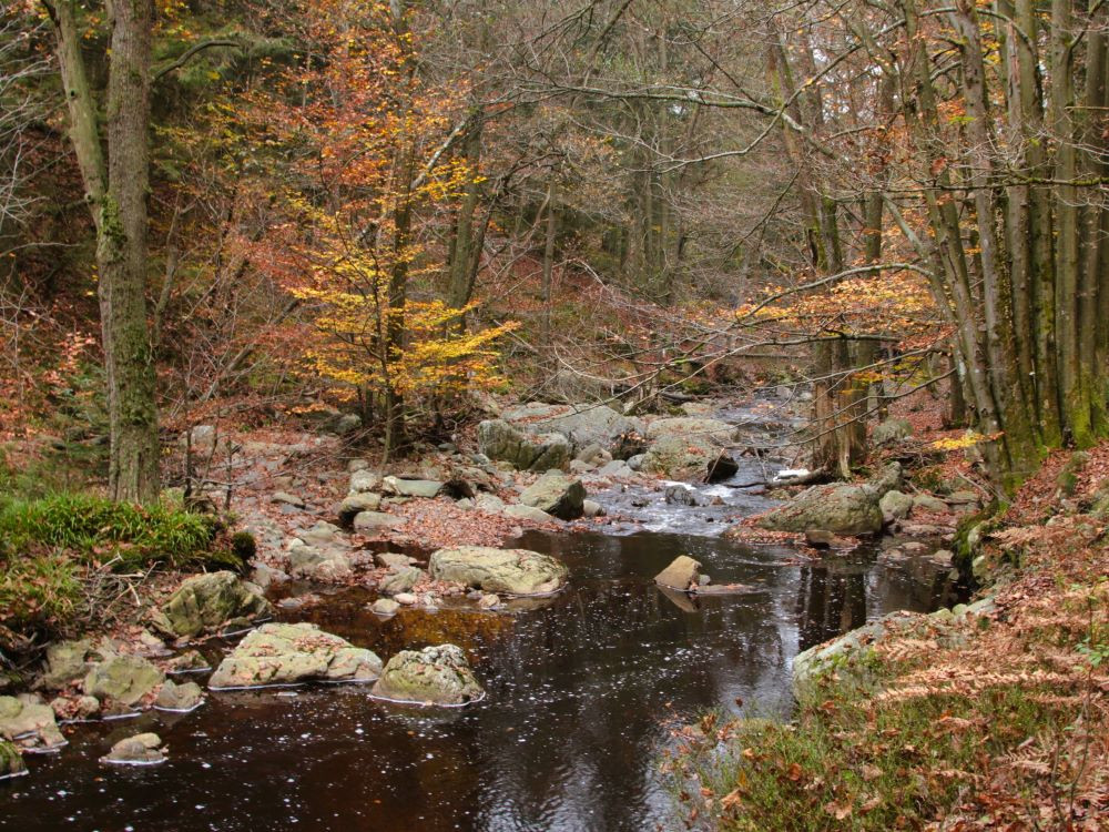 Ardennen