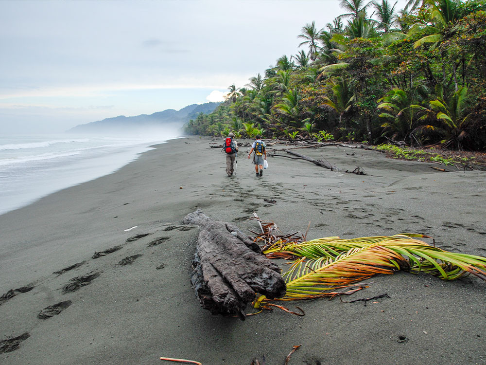 Wandelen in Corcovado NP