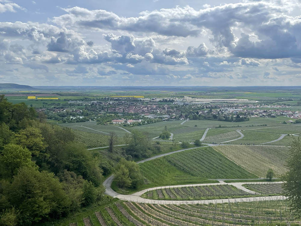 Steigerwald in Franken