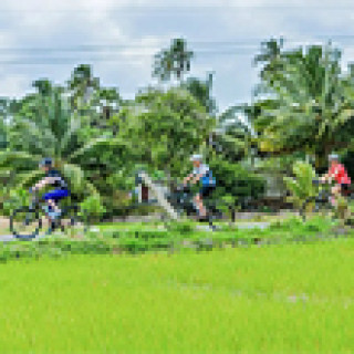 Afbeelding voor Intrepid Travel - Fietsreis Sri Lanka in groep