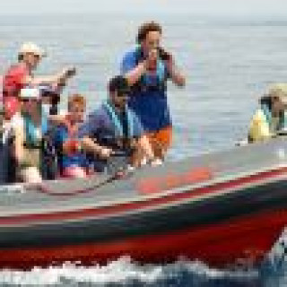 Afbeelding voor Get Your Guide - Dolfijnenexcursies en Tours