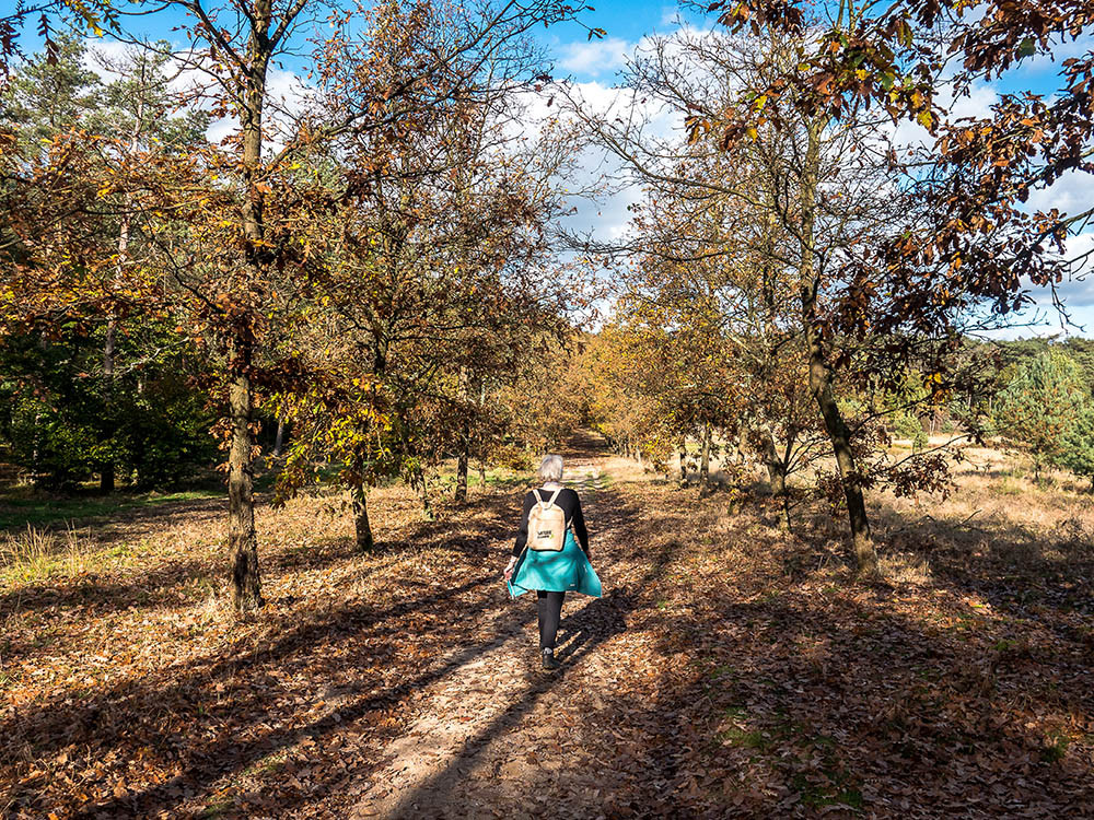 Wandelen bij Amerongen