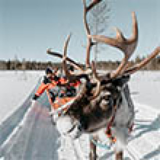 Afbeelding voor Abel Reizen - Lapland avontuur