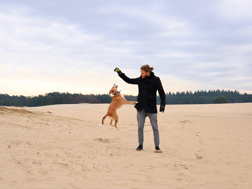 Met de hond in de duinen