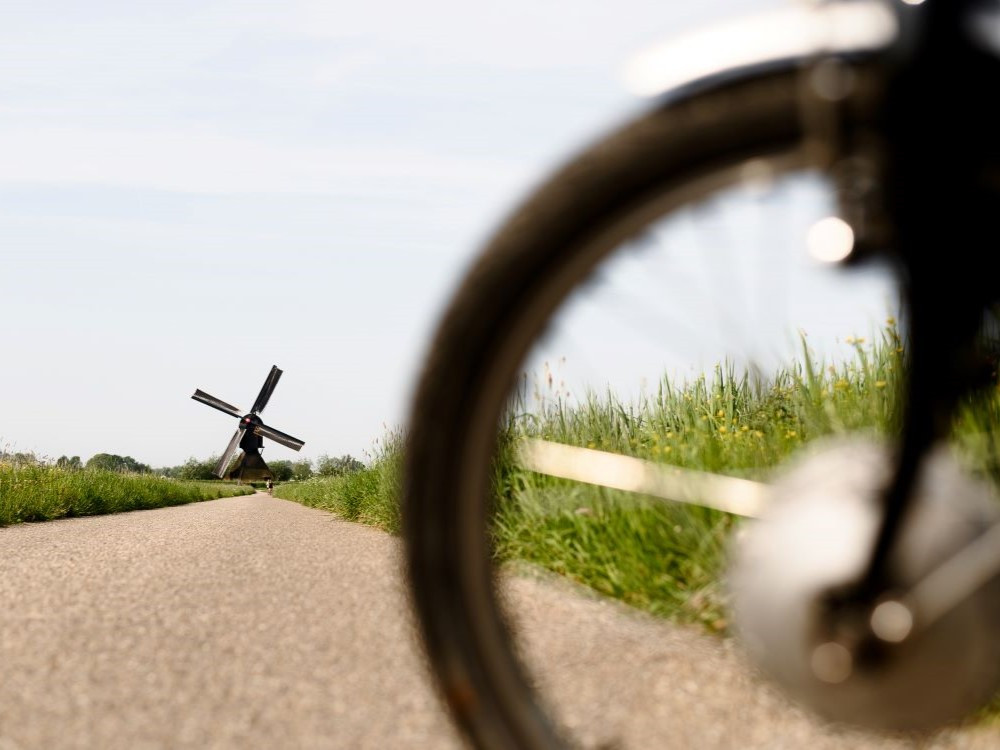 Fietsen bij de Biesbosch