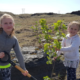 Afbeelding voor Bomen planten in IJsland met Buro Scanbrit