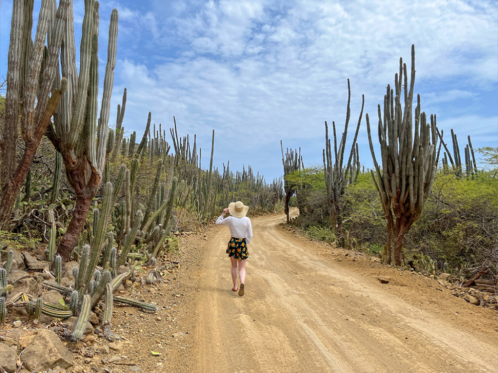 Bonaire