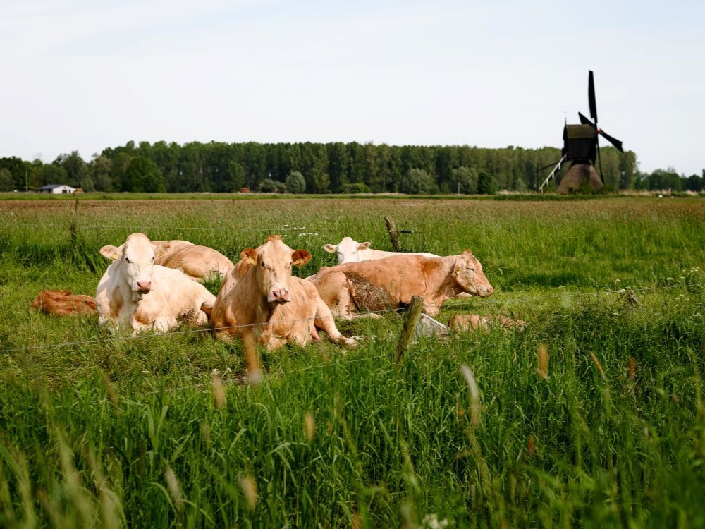 Prachtig landschap