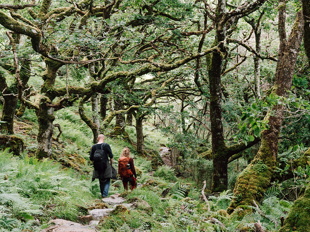 Wandelen Ardnamurchan