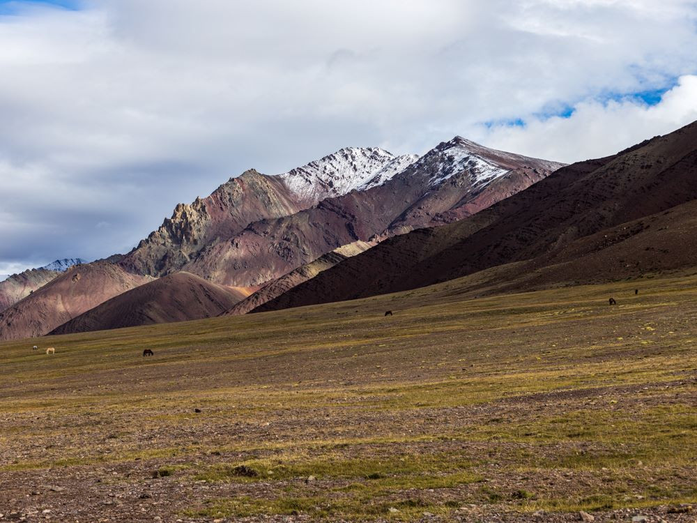 Markha Valley