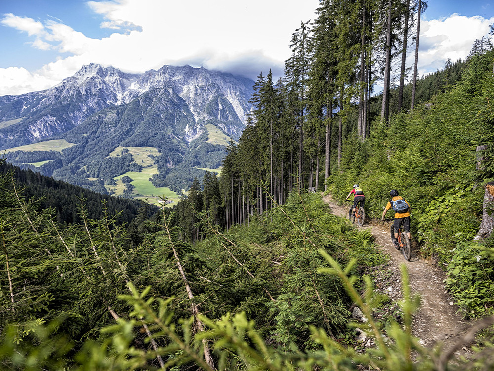 Mountainbiken