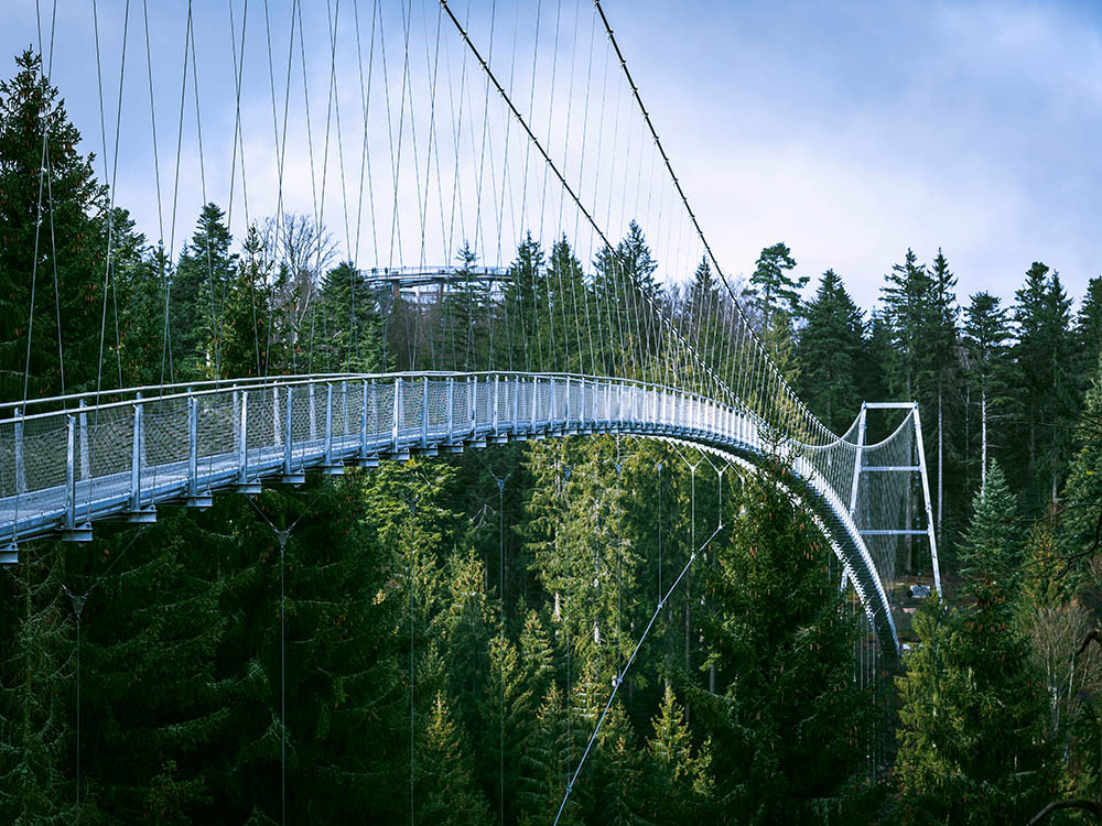 WILDLINE hangbrug