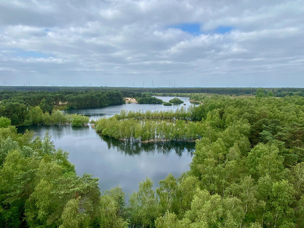 Uitzicht over Bosland