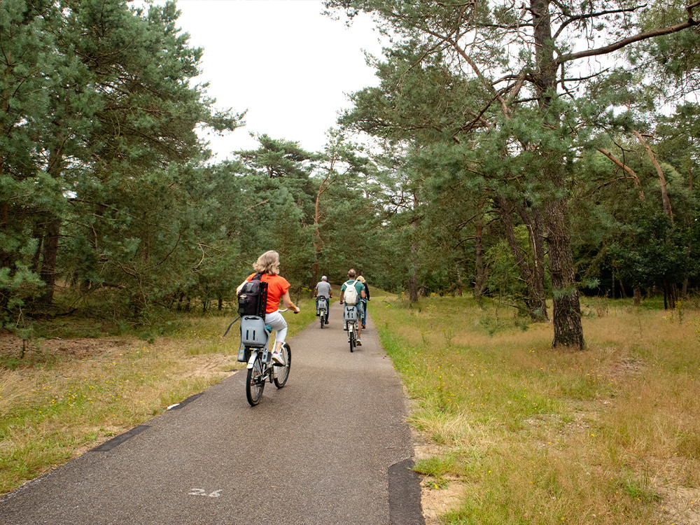 Fietsen op de Hoge Veluwe