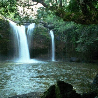 Afbeelding voor 333TRAVEL - Reis Khao Yai National Park