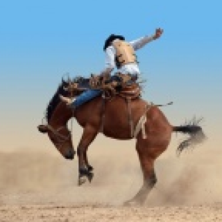 Afbeelding voor 333TRAVEL - Highlights of the Wild West