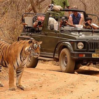 Afbeelding voor Sundowner Wildlife Reizen - Azië