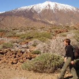 Afbeelding voor STAP Reizen - Wandelen op Tenerife