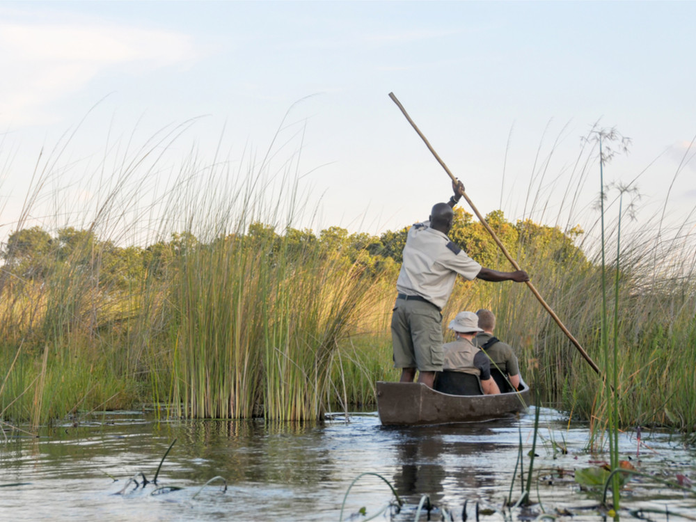 Wat Te Zien En Te Doen In De Okavangodelta?