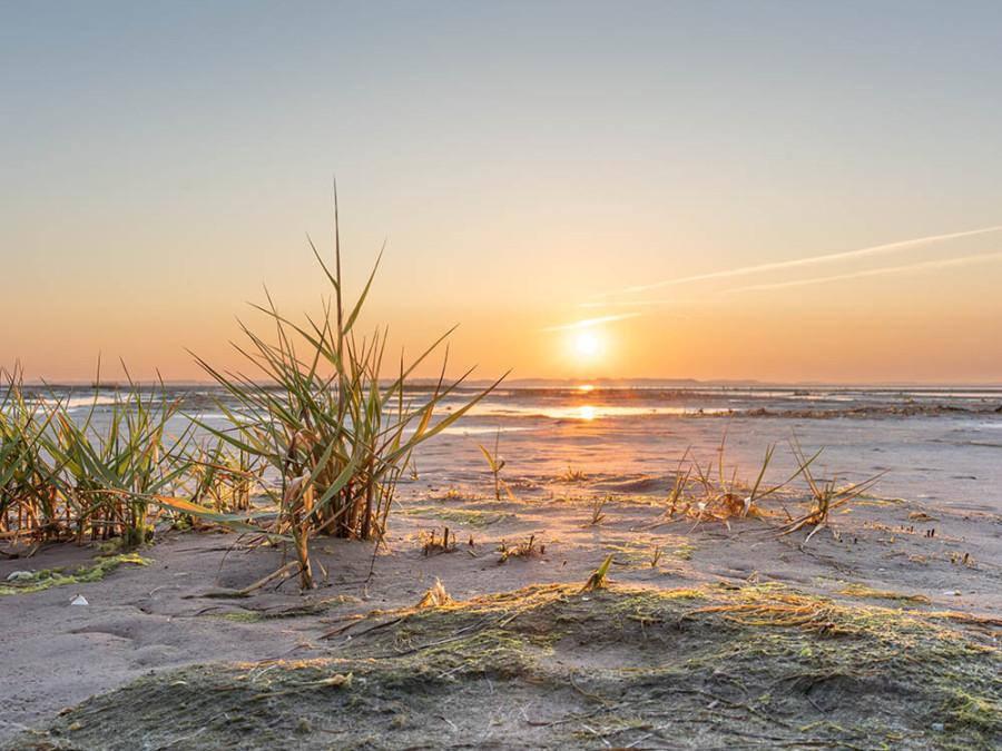 Waddeneiland Borkum