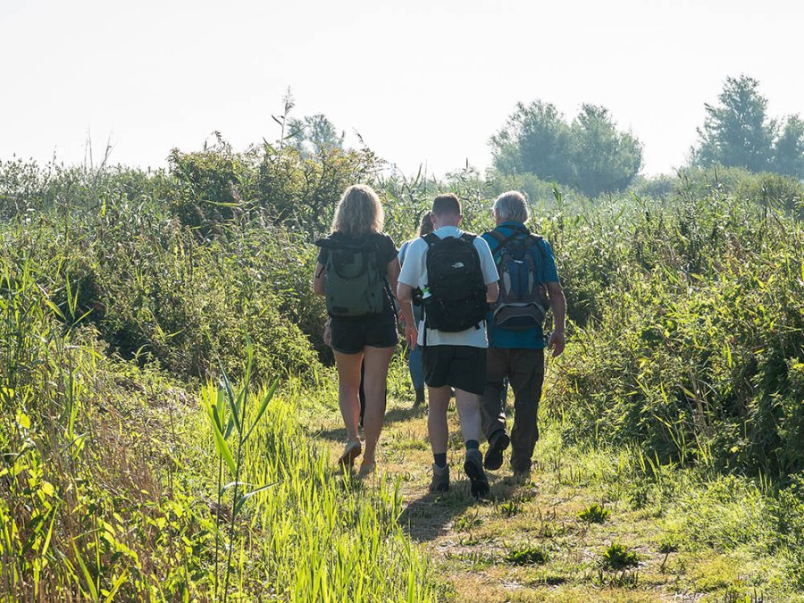 Wandelen Nieuw Land Wandelen Nieuw Land