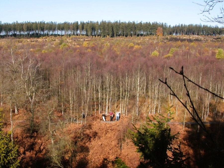 Wandelroute Grande Ronde des Fagnes