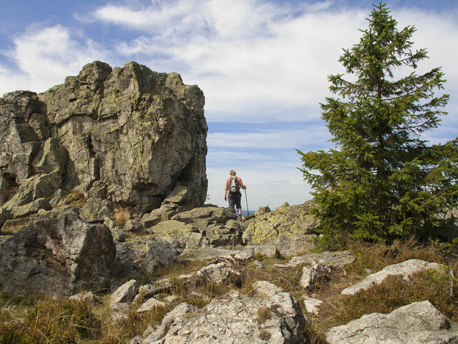 De Harz