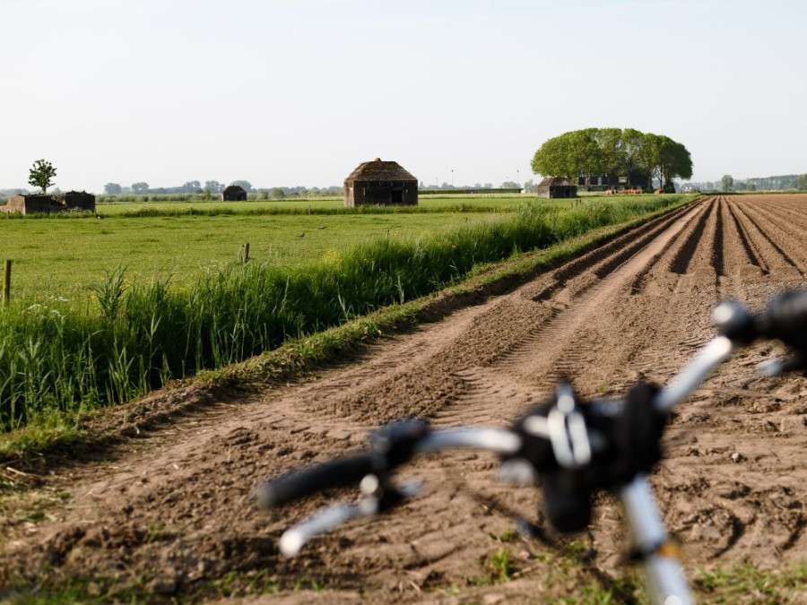 Fietsen Biesbosch