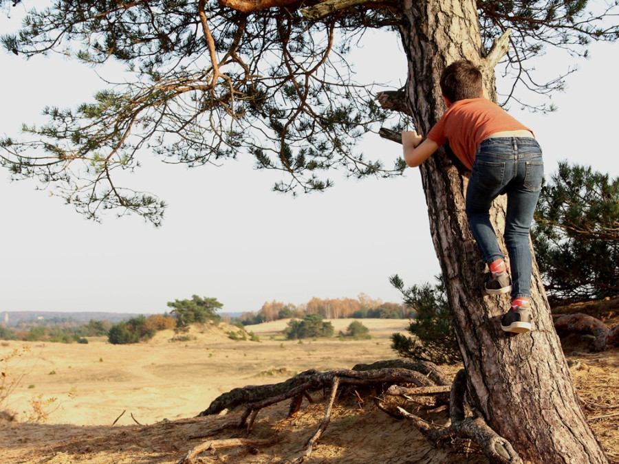 Klimmen op de Veluwe