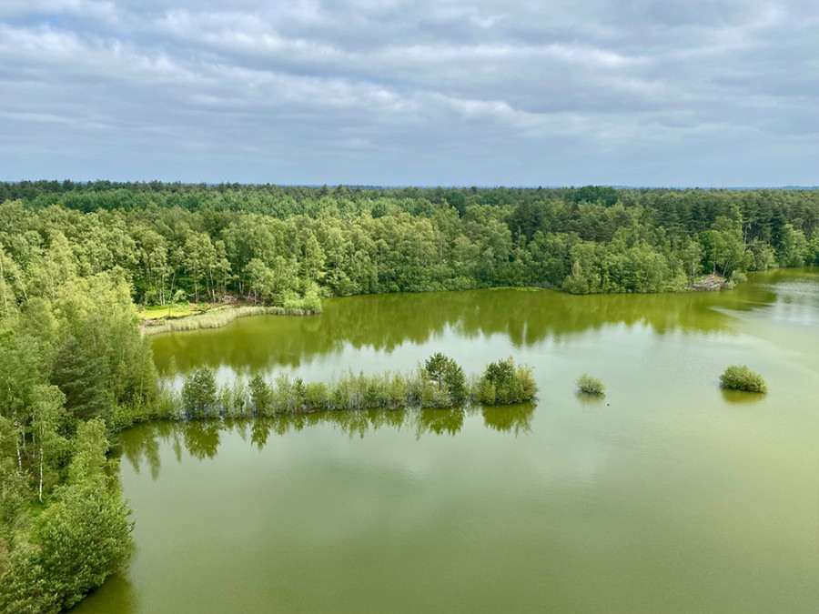 Natuur in Nationaal Park Bosland