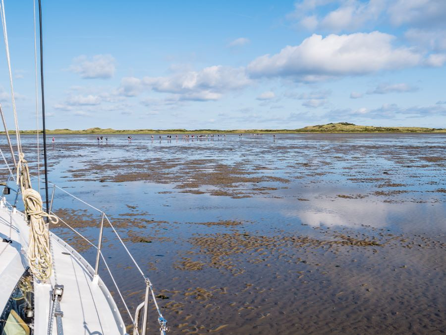 Ameland wadlopen