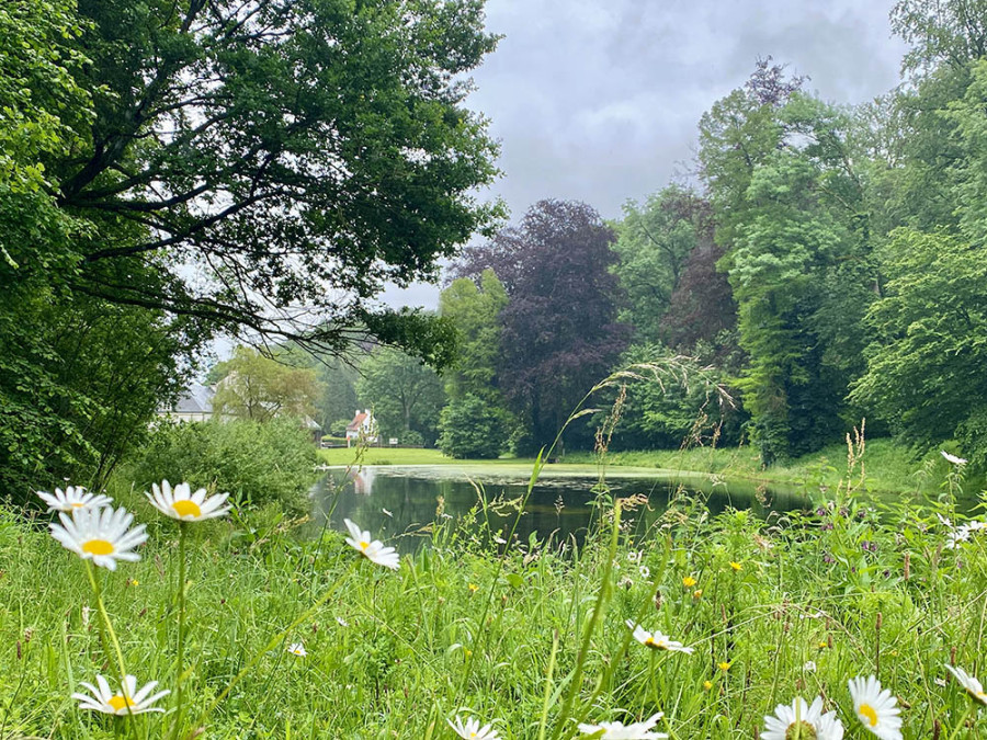 Groenendaalwandeling