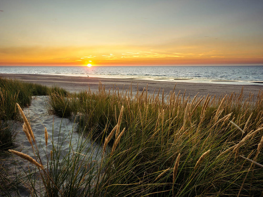 Les dunes Marchant