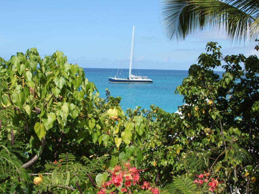 Overwinteren Sint-Maarten