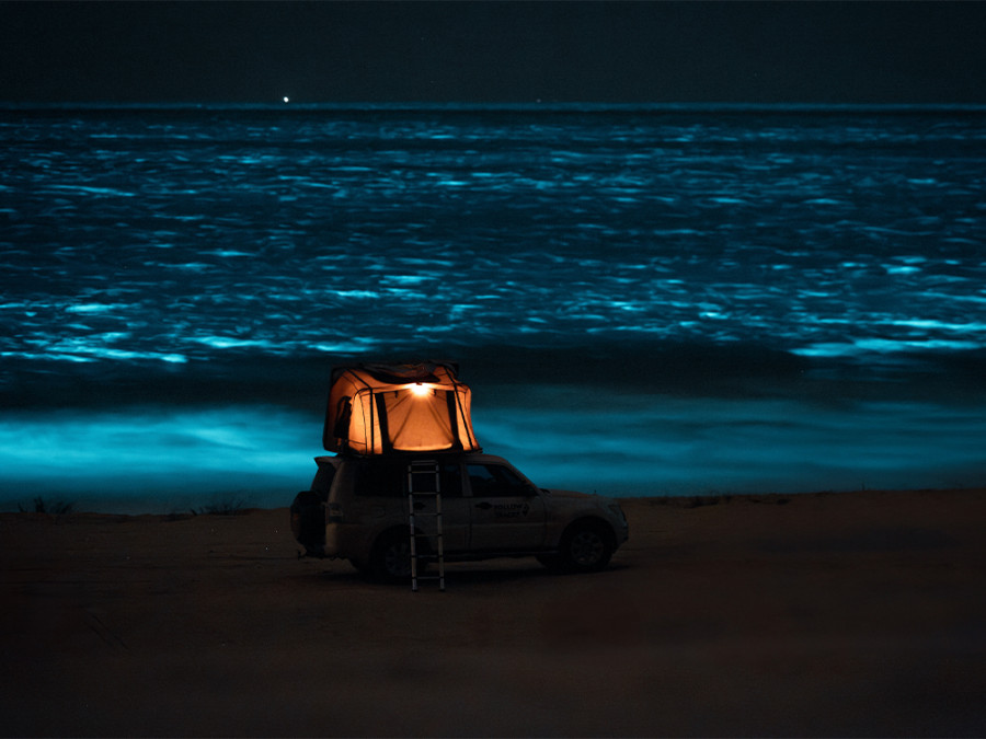 Bioluminescentie Oman