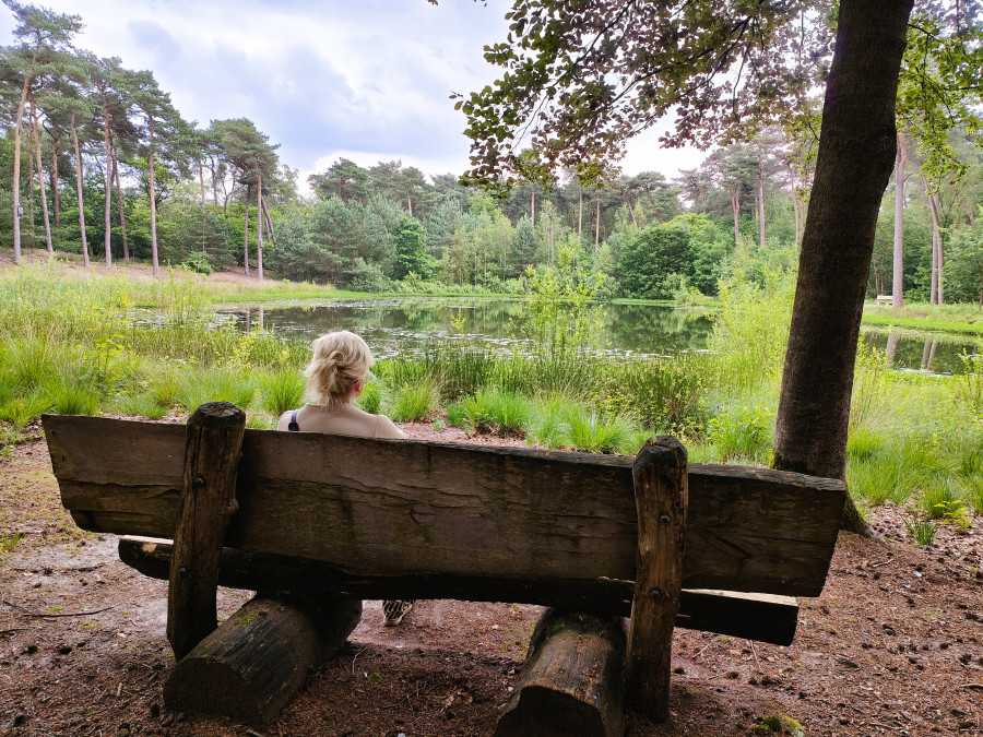 Wandelroute bankje