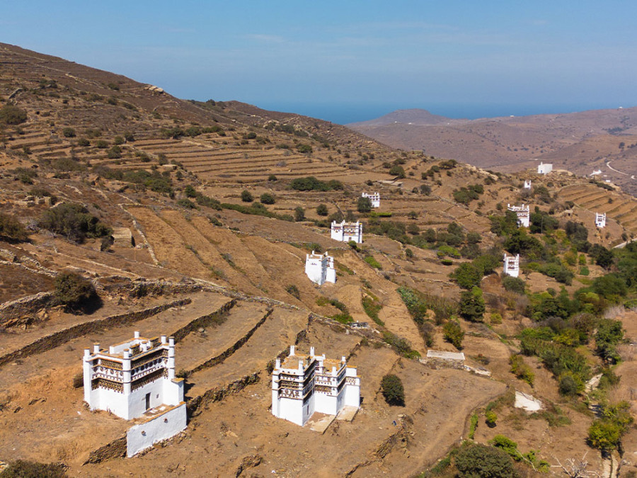 Duiventillen Tinos