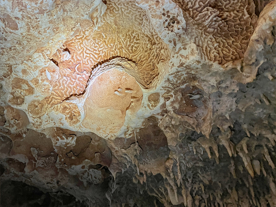Grotten op Bonaire