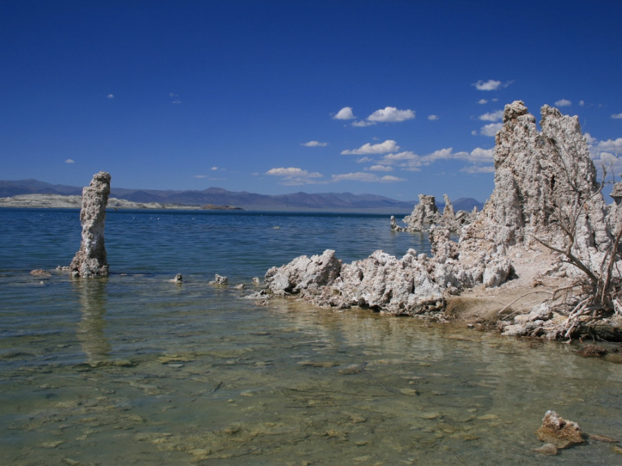 Zoutpilaren Mono Lake